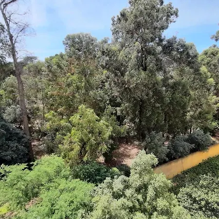 Forest View Lisboa