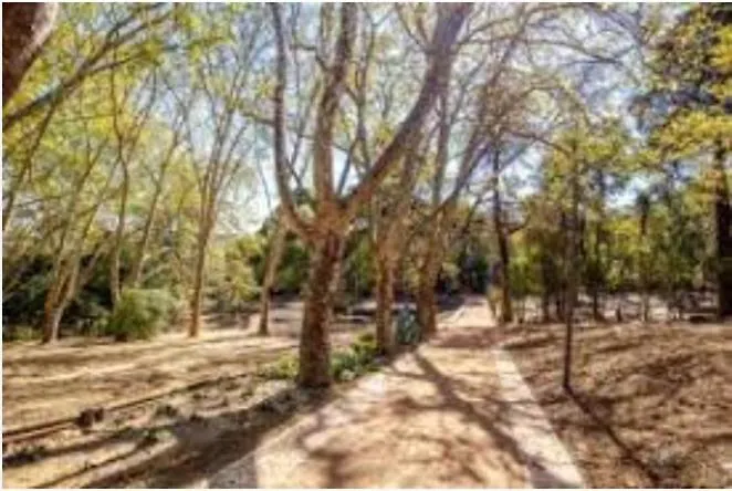 شقة Forest View *